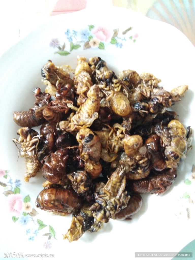 爬叉