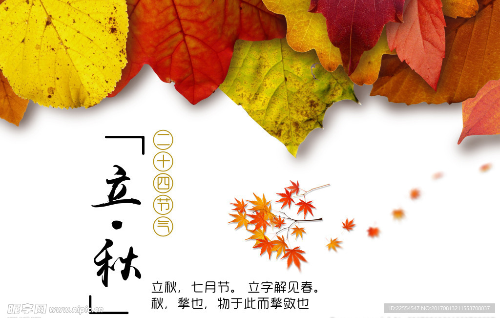 中国传统立秋海报