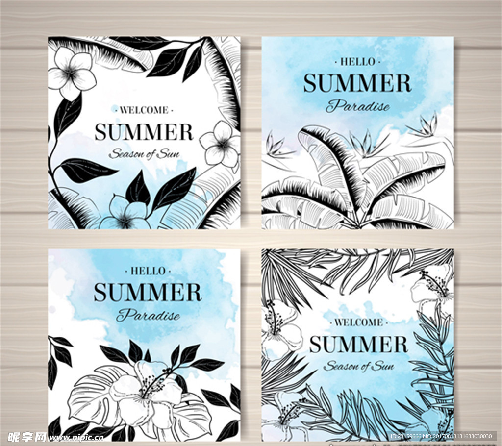 夏季热带植物卡片集合