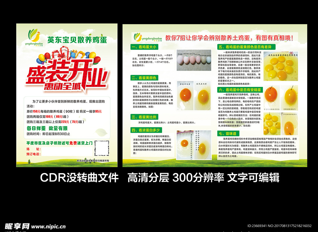 农家 土鸡蛋 图片 开业传单