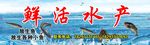 水产门头