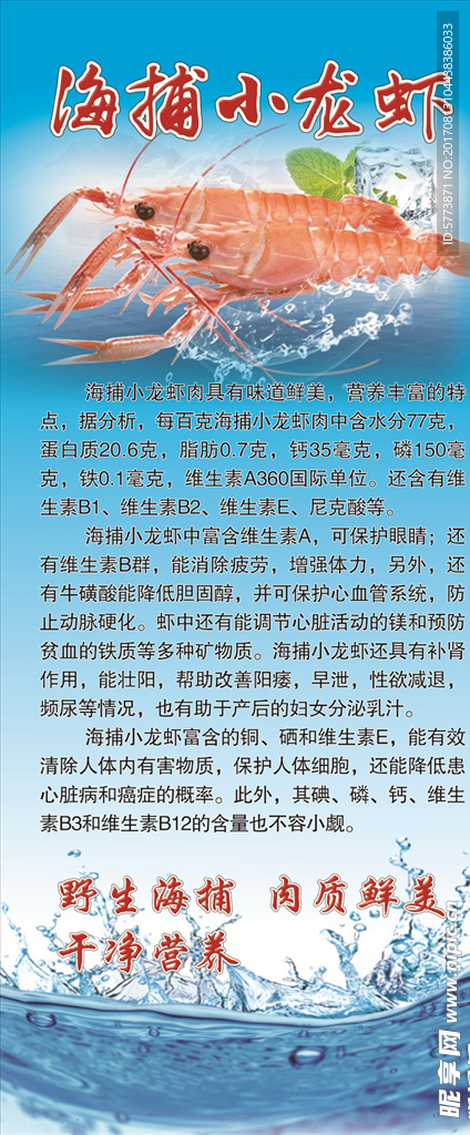 海鳌虾 展架