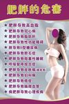 肥胖的危害 减肥 瘦身 理疗