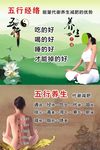 五行 养生 荷花 山水 美女