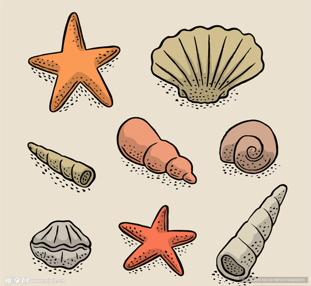 8款彩绘贝壳和海星矢量素材
