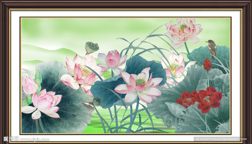 国画荷花