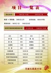 项目一览表
