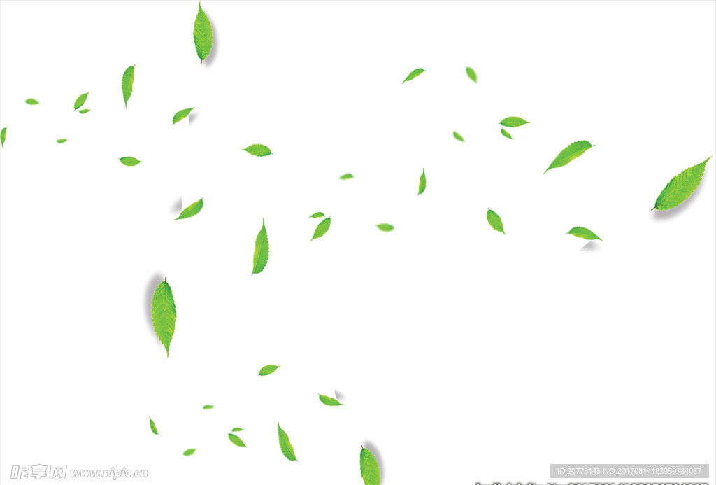 漂浮树叶