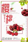 清新简约樱桃海报