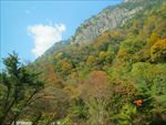 太白山秋景