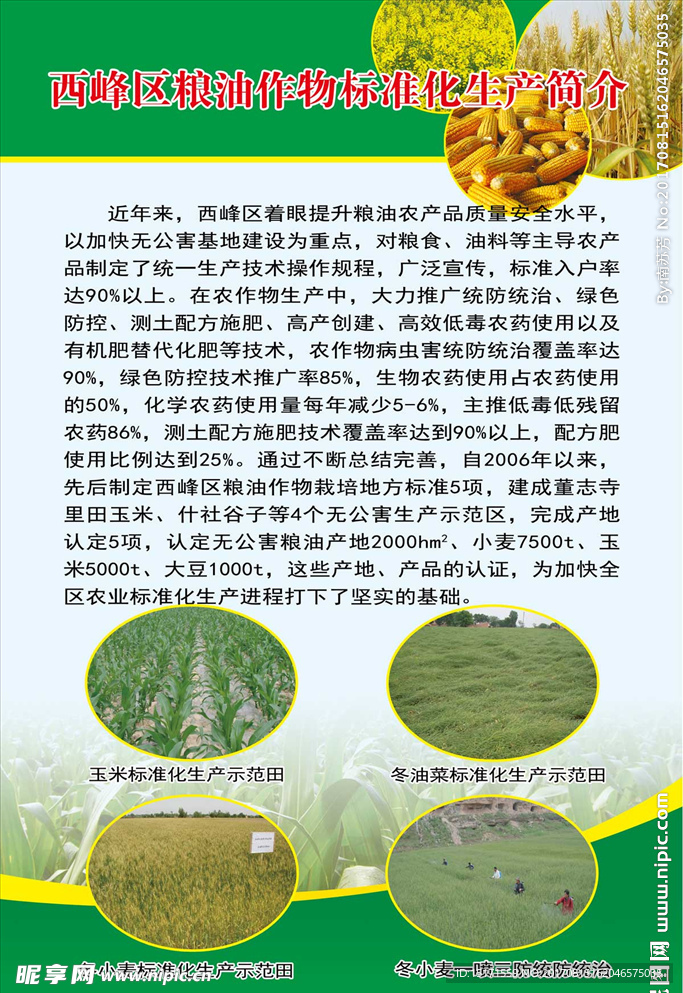 粮油作物展板