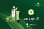 瑷露德玛海报