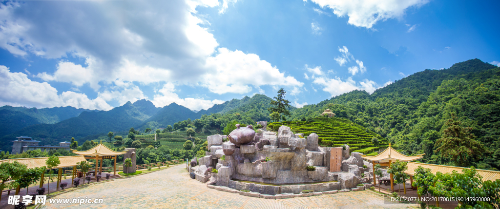 梅州雁南飞茶田景区