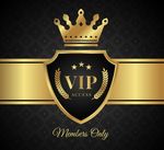 VIP卡模板