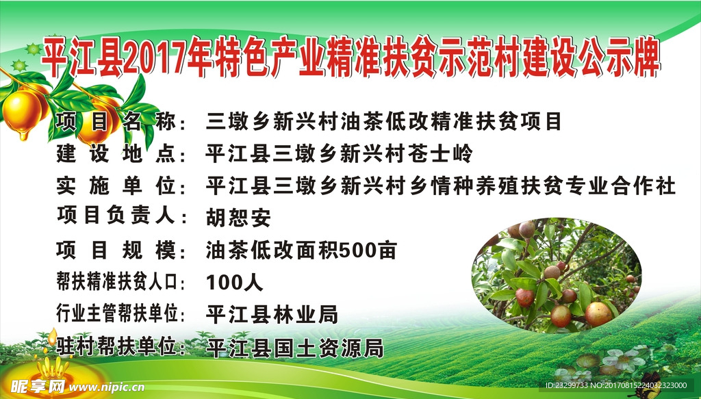 油茶低改