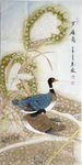 国画花鸟图片