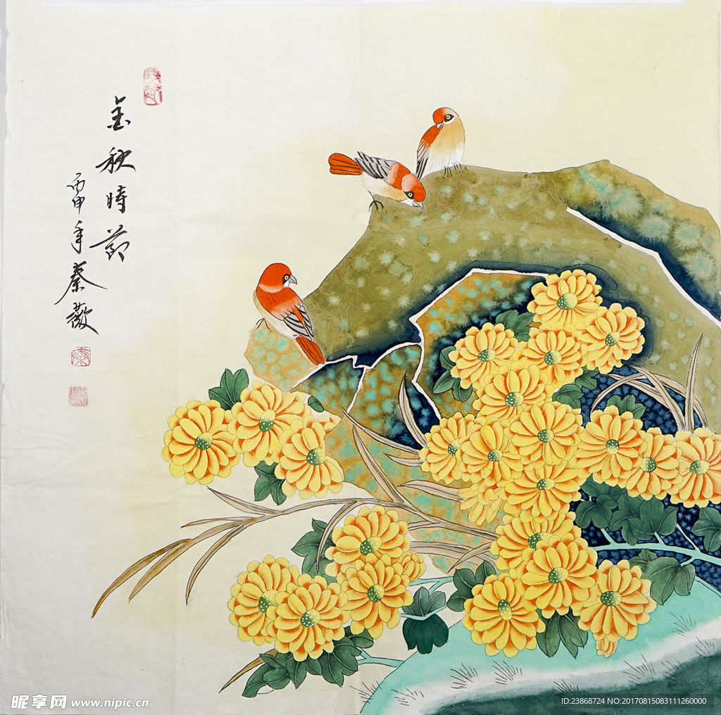 菊花与鸟
