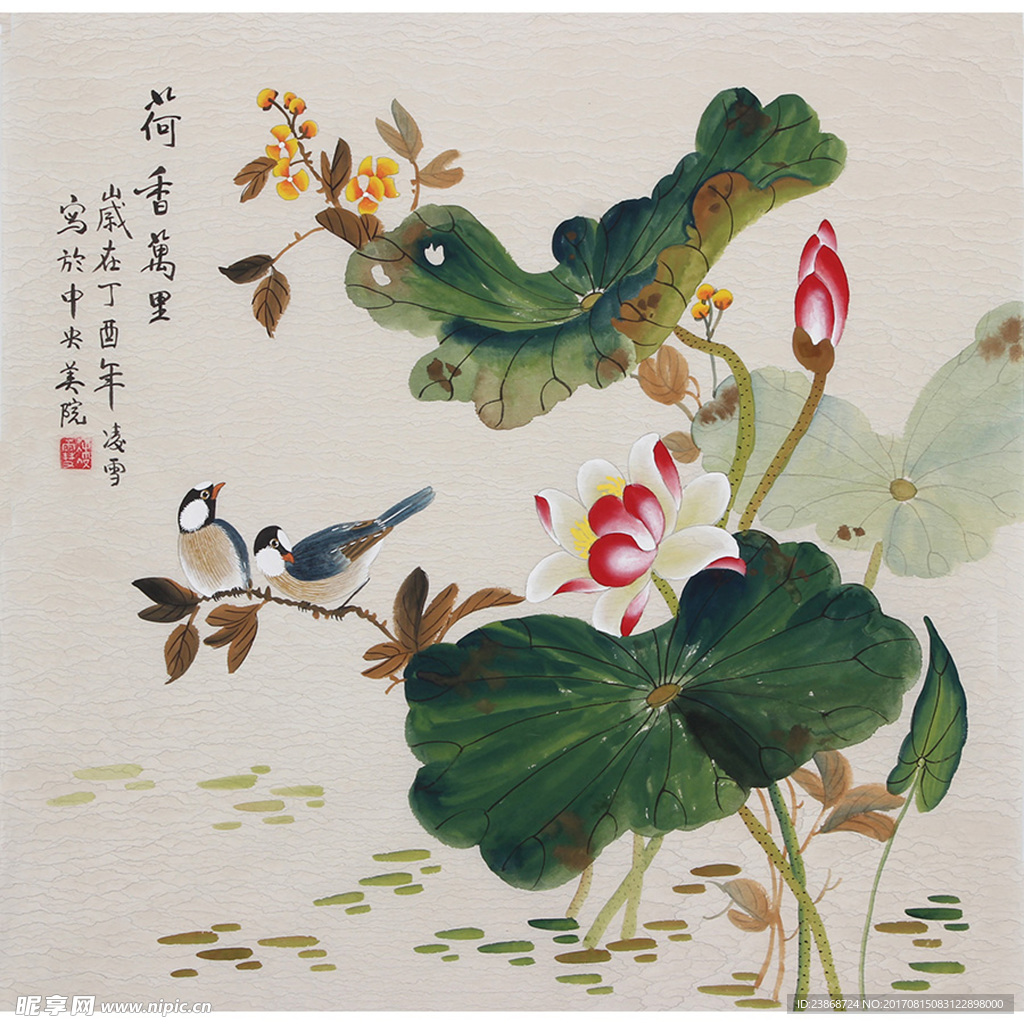 国画荷花图片