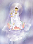 杨柳观音矢量图