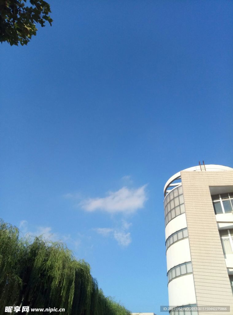 绿树蓝天