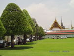 阳光草坪
