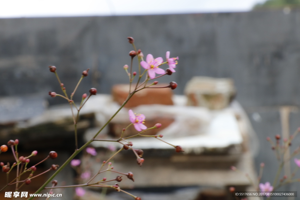 花