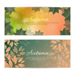 秋季banner