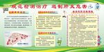抗击肝炎 预防先行
