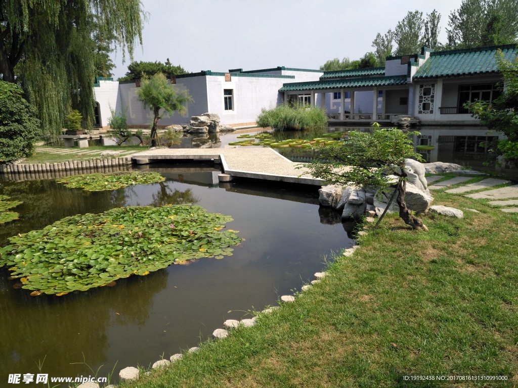 夏日植物园