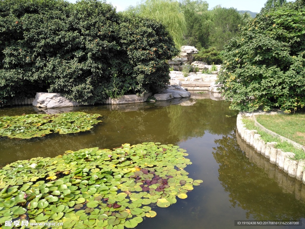 夏日植物园