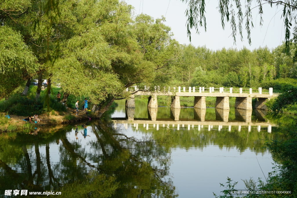 沈阳蒲河湿地 石桥