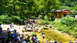 金鞭溪风景