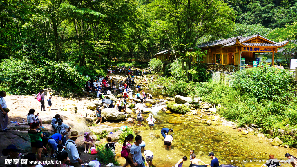 金鞭溪风景