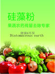硅藻粉