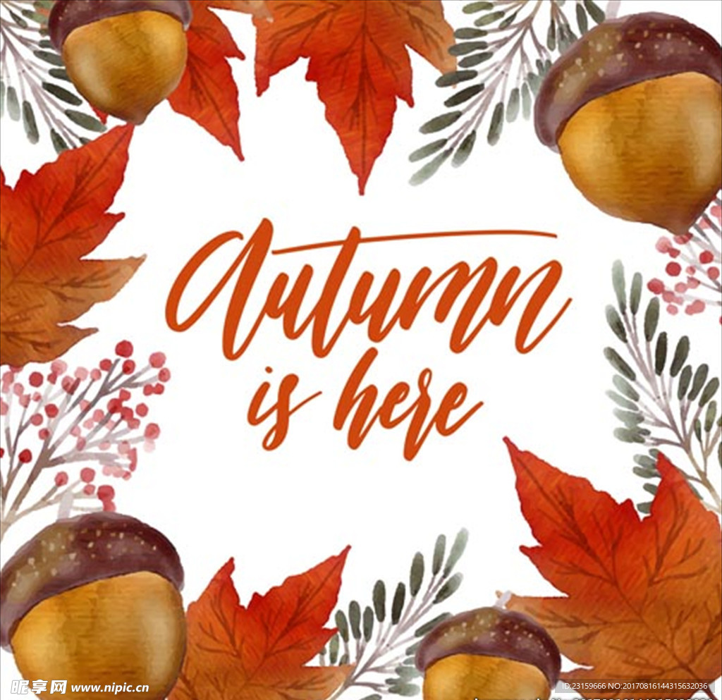 手绘水彩秋天的橡子和树叶