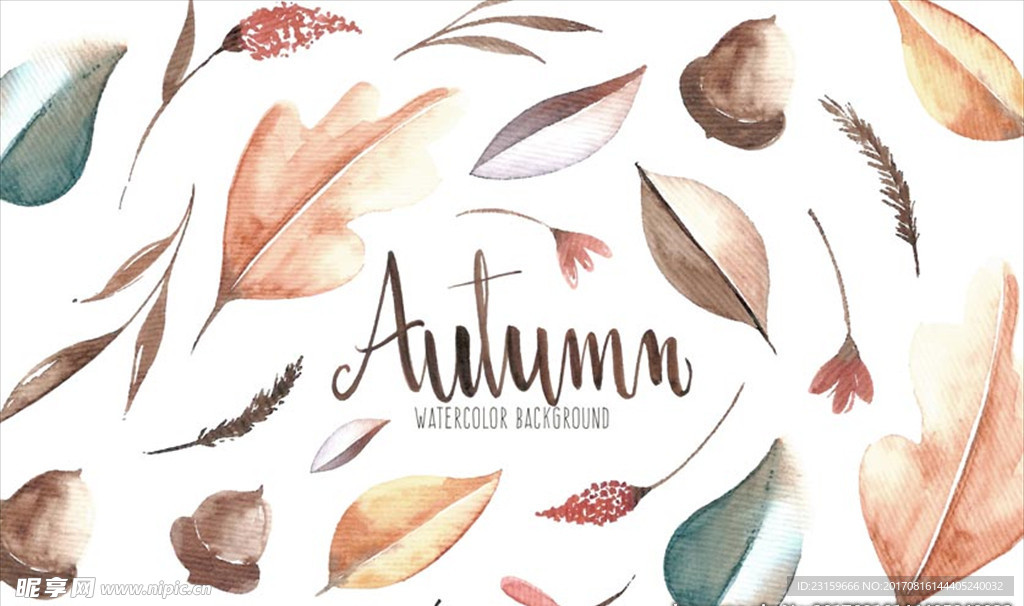 手绘水彩秋天树叶橡子插图