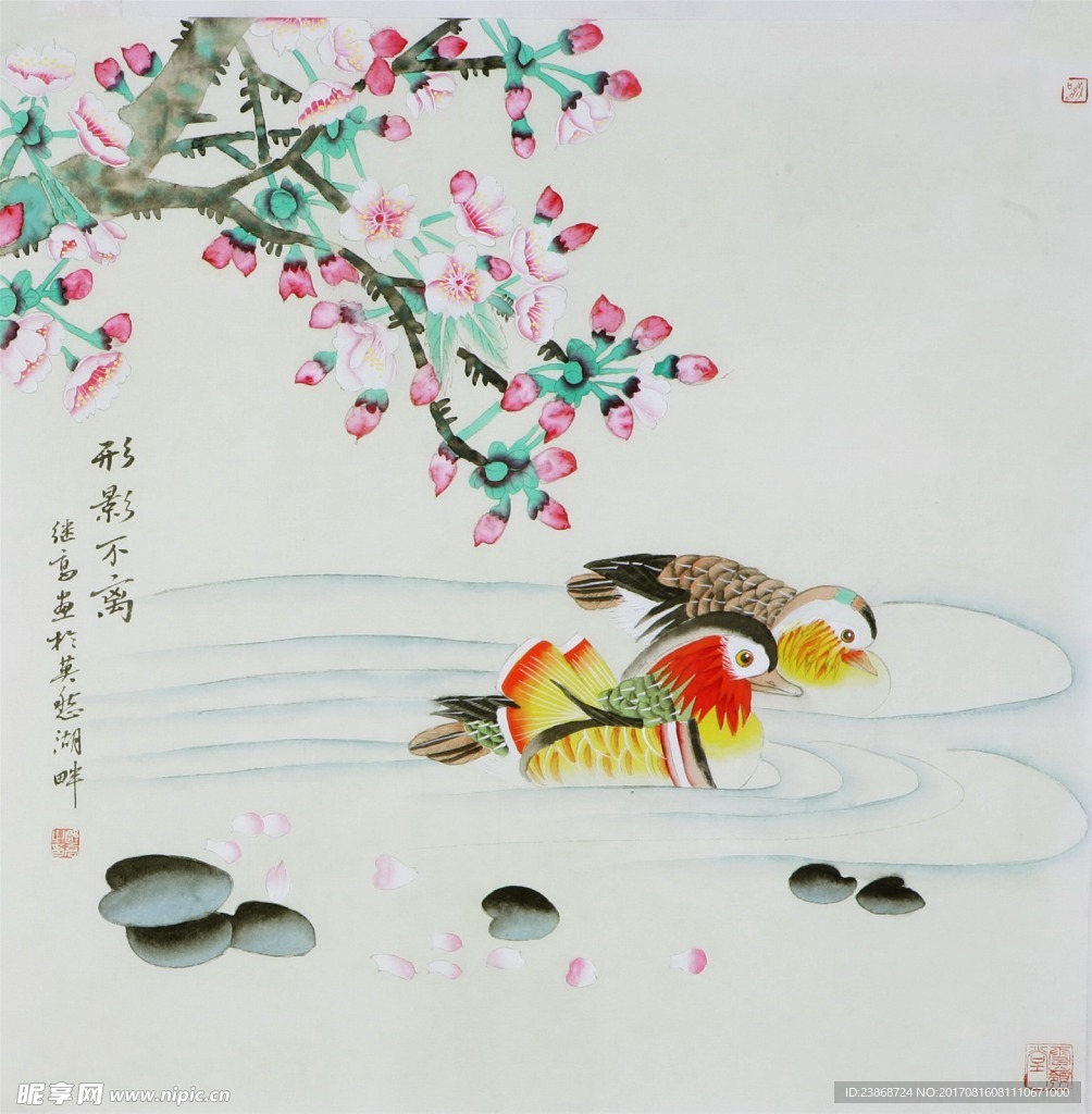 国画梅花鸟