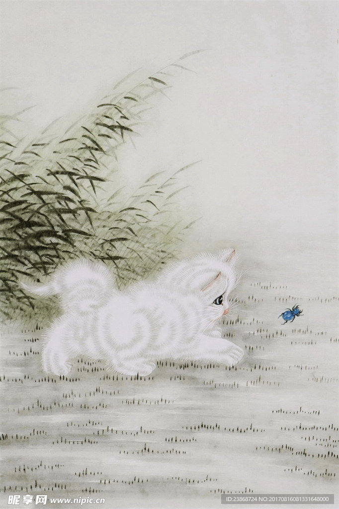 猫