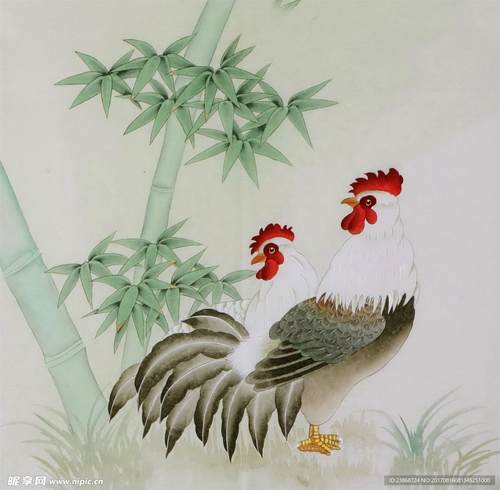 鸡
