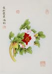 国画月季