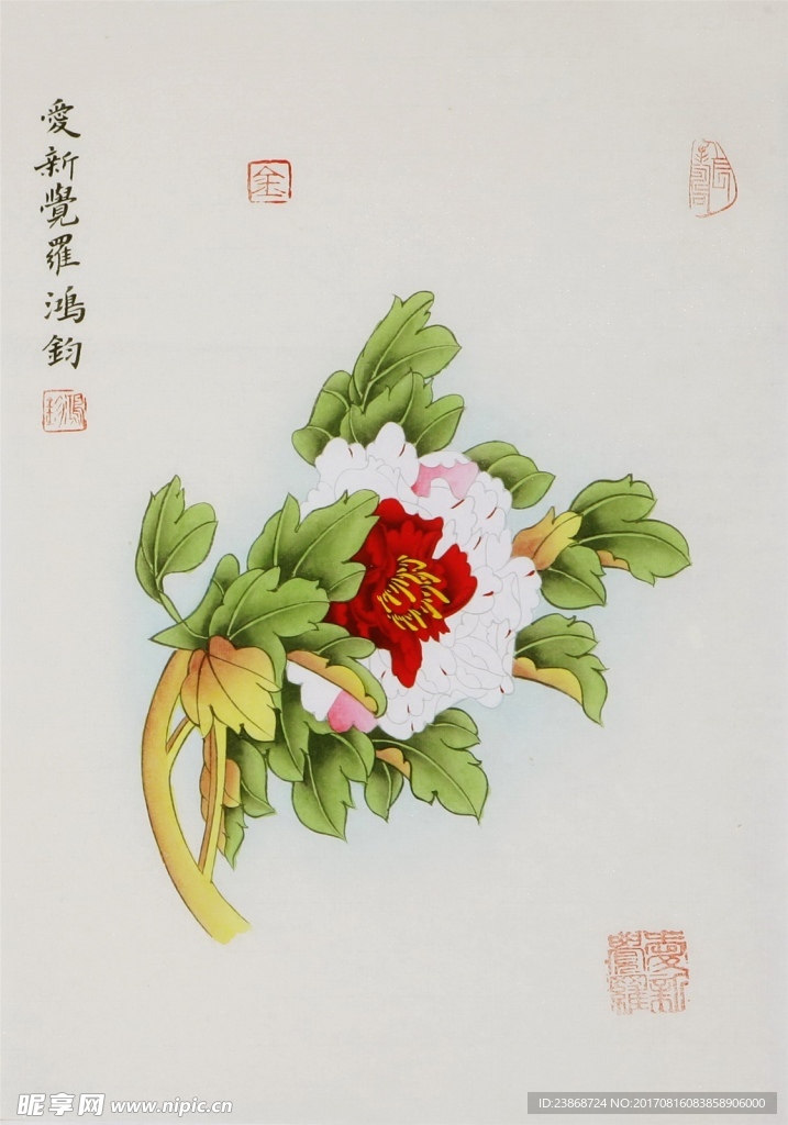 国画月季