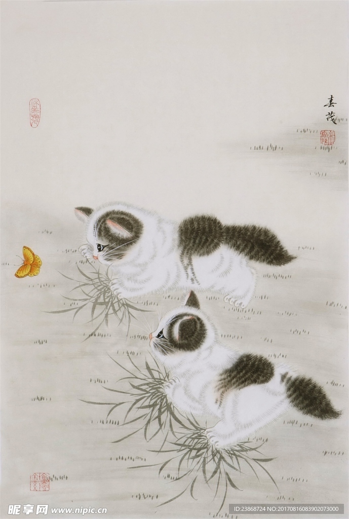 猫