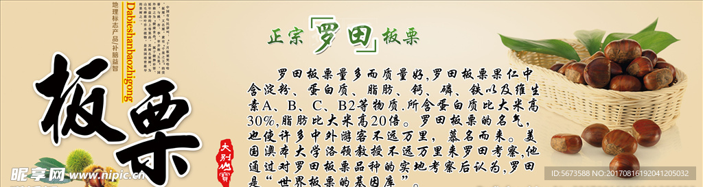 罗田板栗展板设计图
