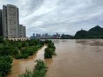柳州市洪水