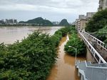 柳州市洪水