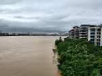 柳州市洪水