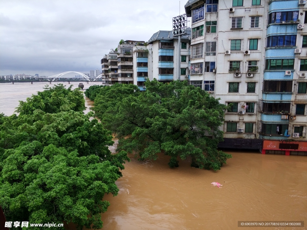 柳州市洪水