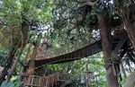 泰山树屋