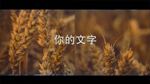 图文快速切换展示