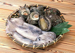贝壳